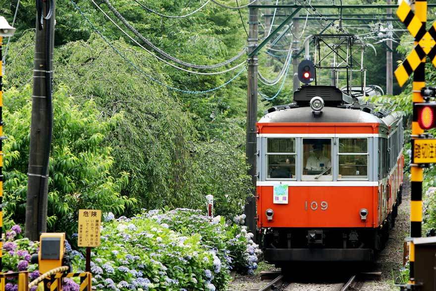 箱根登山鉄道35