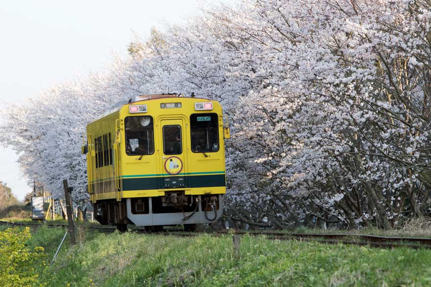いすみ鉄道71