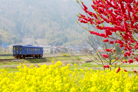 若桜鉄道